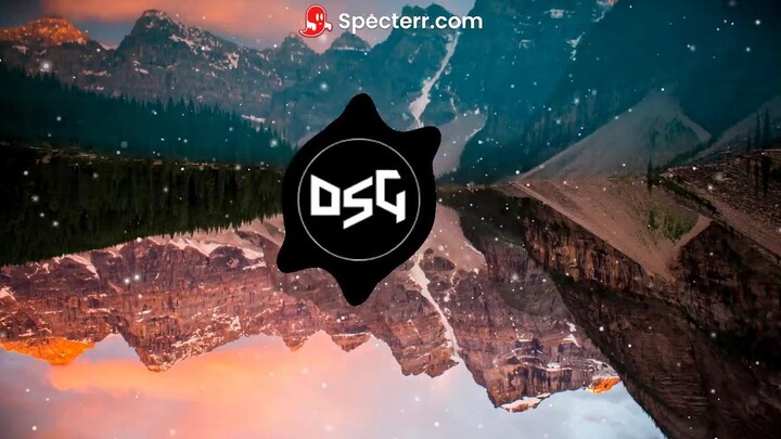 dsg