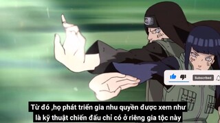 Gia Tộc Hyuga Bạch Nhãn Byakugan Bí Ẩn Về Năng Lực Công Thủ Toàn Diện p3
