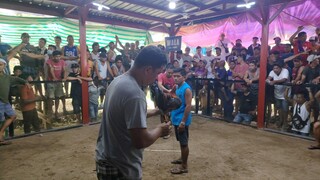 Gilmore Hatch in Action sa Medyo Sosyal na Tupada