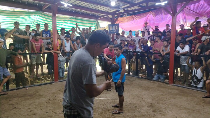 Gilmore Hatch in Action sa Medyo Sosyal na Tupada