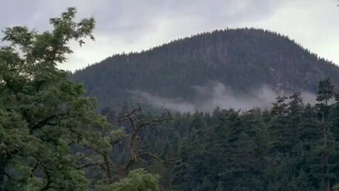 Sombra da Morte (FILME)