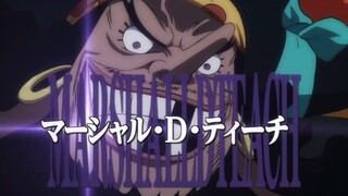 TimeSkip Blackbeard (Dub) | One Piece