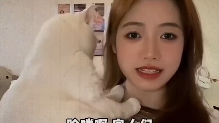 Kucing: Rasanya seperti kehilangan lalu mendapatkannya kembali, tapi kemudian kehilangan lagi.