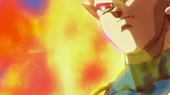 vegevegeta