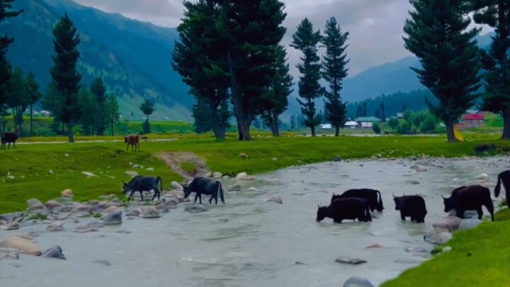 the best seen of gilgit Pakistan 🇨🇳China 🇵🇰Pakistan friends