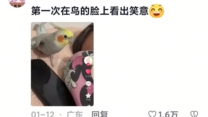 The cutest creature has mastered the most sinister voice