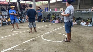 @ternate cockpit arena 3fight win 3hits champion 77k parada kalaban (SCORE WWW)