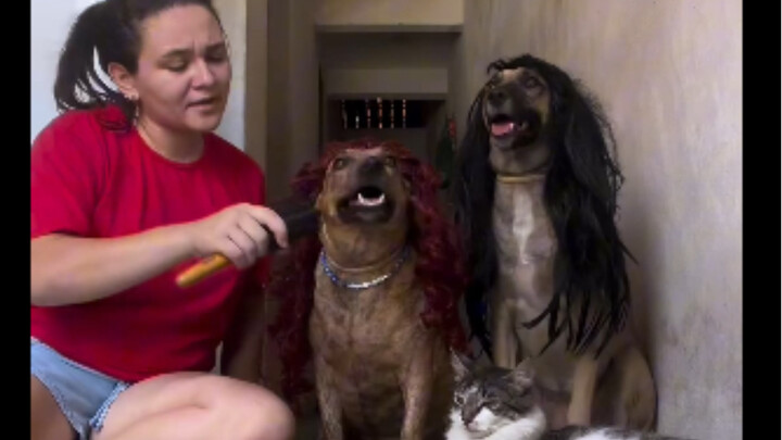 Ban nhạc rất tuyệt, các nhạc sĩ cũng rất đẹp trai/đẹp gái!