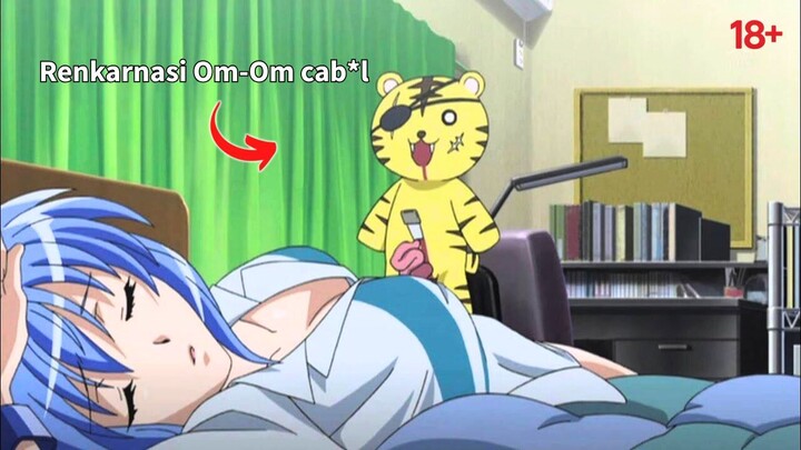 Bangun Tidur Jadi Cewek dan Dipaksa Bertarung, Hidup Siswa SMA Ini Langsung Kacau!🔥🥵