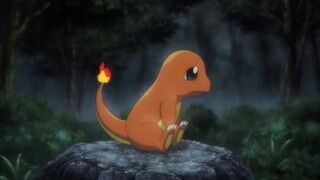 Who threw away such a cute little fire dragon?