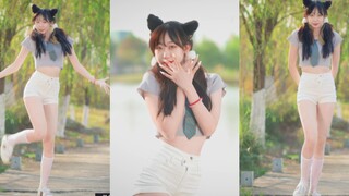 【梅梅】Like A Cat-AOA猫步轻俏|少女变猫