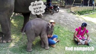 น้องขุนศึกบอกว่าเดี๋ยวนวดหลังให้555