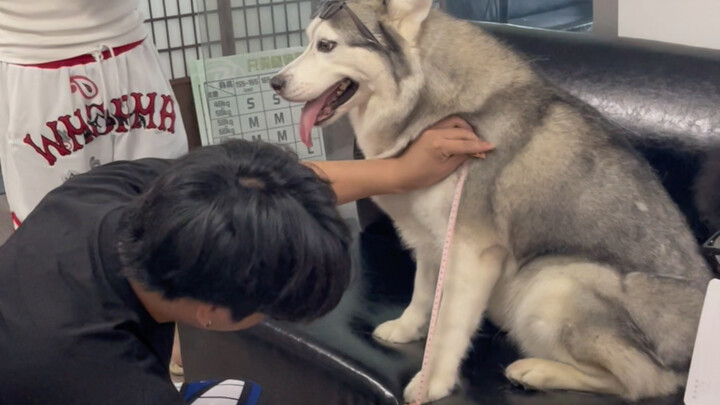 In the end, I really did bring my dog along on the entrepreneurial journey.