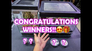 Merry Christmas Subscribers!! Congratulations Winner!!! | Vlog#19