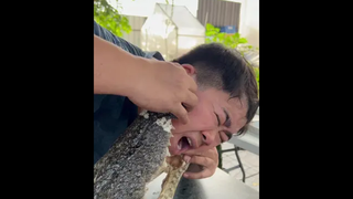 ตอนนี้พี่เข้เป็นไงบ้างครับ😅😅