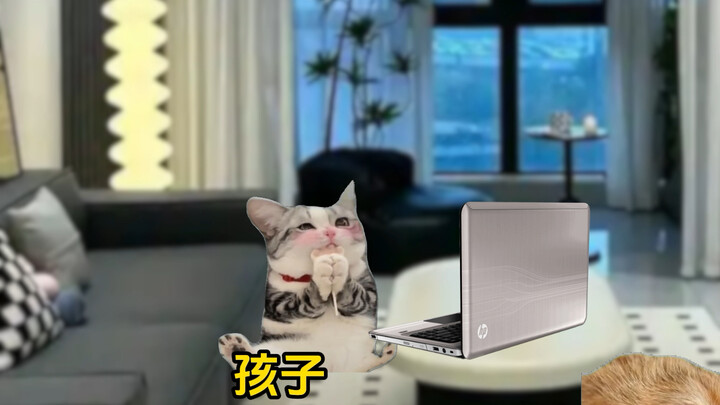 Hóa ra hồi nhỏ toàn ăn cám mịn #Kịch ngắn meme về mèo #Tái hiện chân thực #Nhạc chủ đề phim hoạt hìn