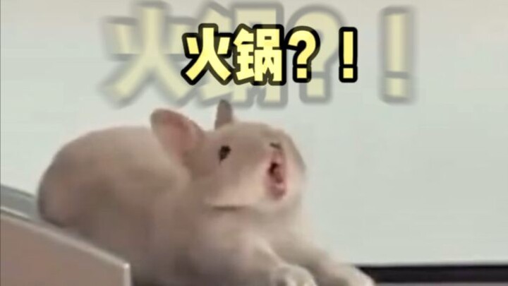 【Lồng tiếng động vật】Đã bảo là ngâm bồn sao lại thành nước dùng dầu đỏ?!