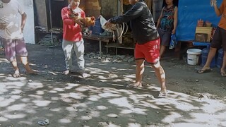 Nadale Warrior ng kasama ko. laki ng kalaban.