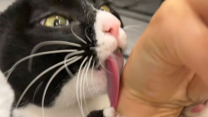 เมื่อฉันออกไปข้างนอกสามวันแล้วกลับมาถึงบ้าน