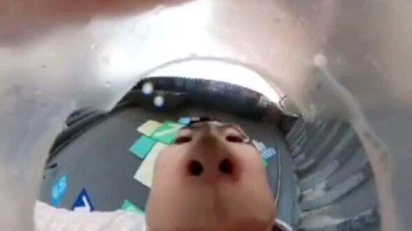 Panoramic Camera: The Golden Beast That Devours Everything