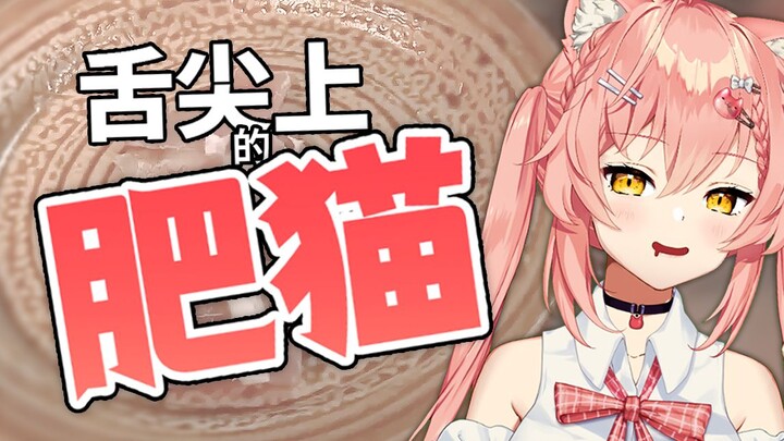 肥猫看「舌尖上的中国」被馋哭