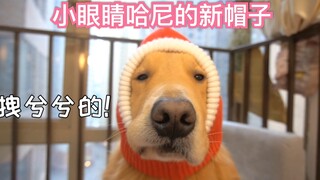 The young man keeps teasing his dog at home, leaving the dog with no choice but to put on a cool and