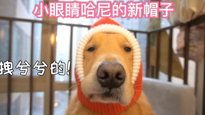 The young man keeps teasing his dog at home, leaving the dog with no choice but to put on a cool and