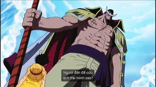 Bố già gặp bố đời cũng phải ngán thôi #Rautrang #luffy #onepiece #anime