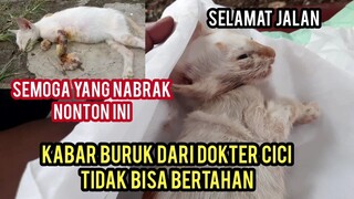Inna lillahi wa inna ilaihi roji'un Cat Lovers Banjir Air Mata Kucing Cici Meninggal Dunia..!