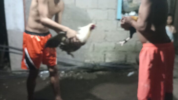 for February 13 2cock Frisco nyt fyt