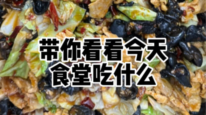 أعود من الإجازة لأتناول الطعام