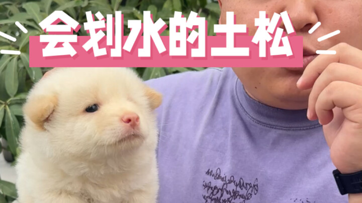 Liu Song kecil yang pandai bersantai.