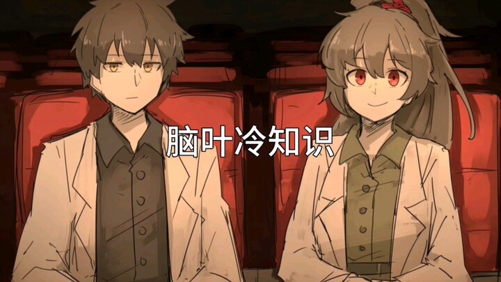 【Perusahaan Lobus Otak】4 Aksesori Wajib Dapat