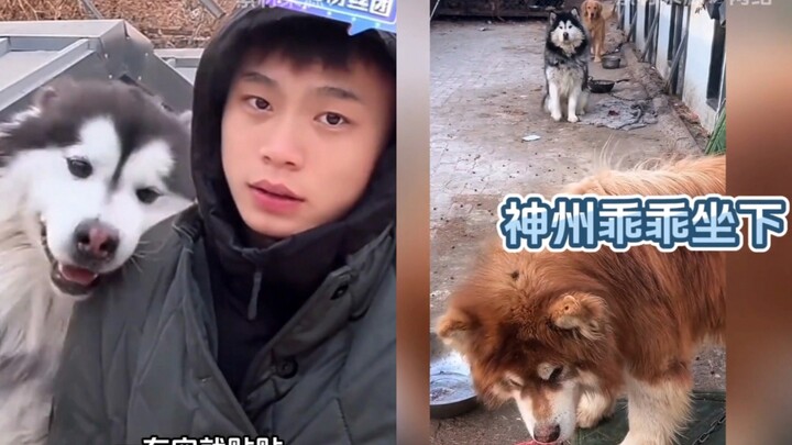 Xiaomi Porridge is the most successful dog in Pan Hong Park’s renovation project—he does whatever he