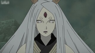 [Naruto Trivia] Do all ninjas love to wear black stockings? Check out five unpopular settings in Nar