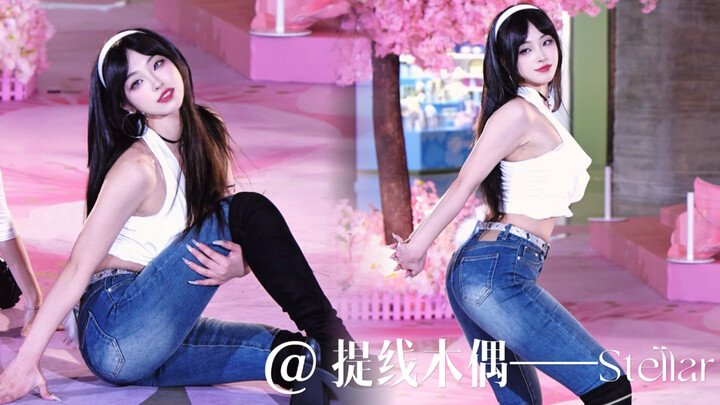 【หุ่นเชิด-สเทลลาร์】ฉันยังคงเป็นเด็กสาวผู้ร่ายรำใต้ต้นซากุระเหมือนครั้งแรกที่เราพบกันอยู่หรือเปล่า?
