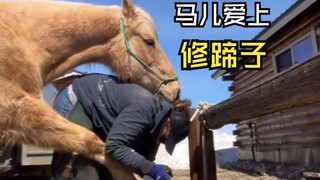 هذه الفيديوهات الحيوانية جميلة جدًا!
