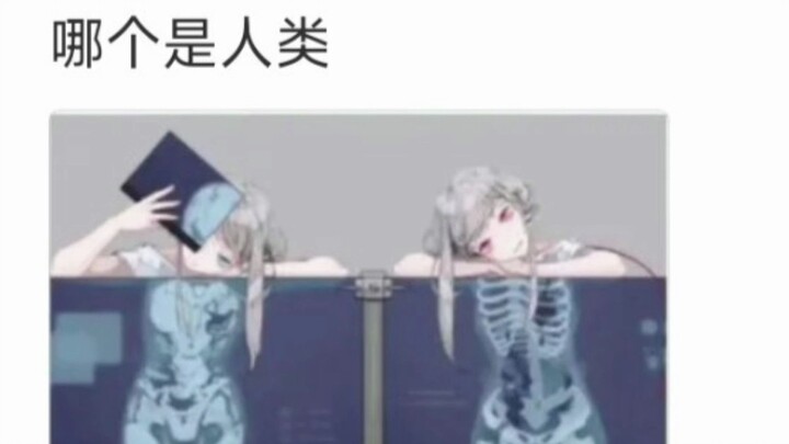 (Internet Hilarious Meme Images)