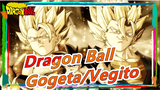 [Dragon Ball] [鈿狅笍Epicness鈿狅笍/Gogeta/Vegito] Invincible Vegito, The Strongest Gogeta