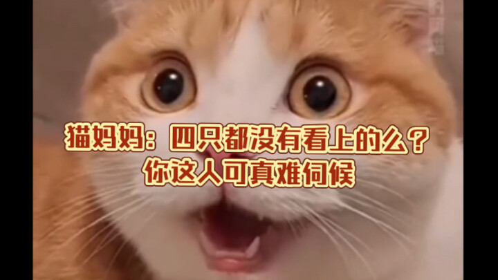 【Dunia Imut】Hei, jangan-jangan kamu pengin sama si manis ini, ya?!