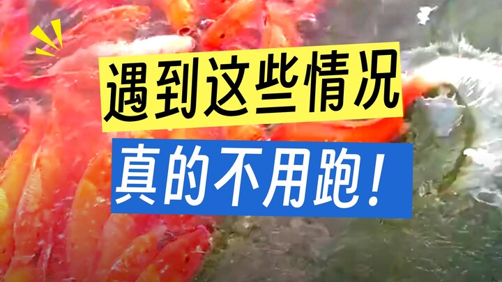 Some situations in life are extremely dangerous—run immediately if you encounter them.