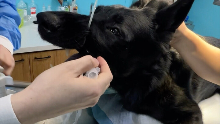 Aku cuma pengin dia tetap hidup.