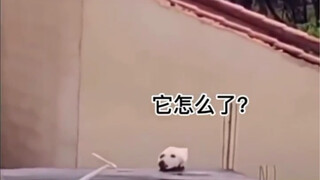 ตาบอดไปแล้วนี่～