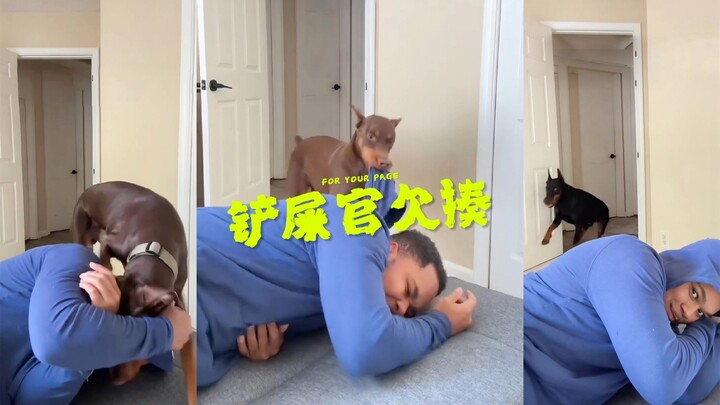 Ucapkan kata favorit si anjing lalu berpura-pura tidur 😂