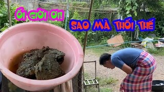 Kinh dị món thịt bò thối 3 ngày || Cuộc sống Thái Lan