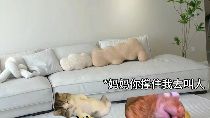 أمي، جئتُ لأنقذك!