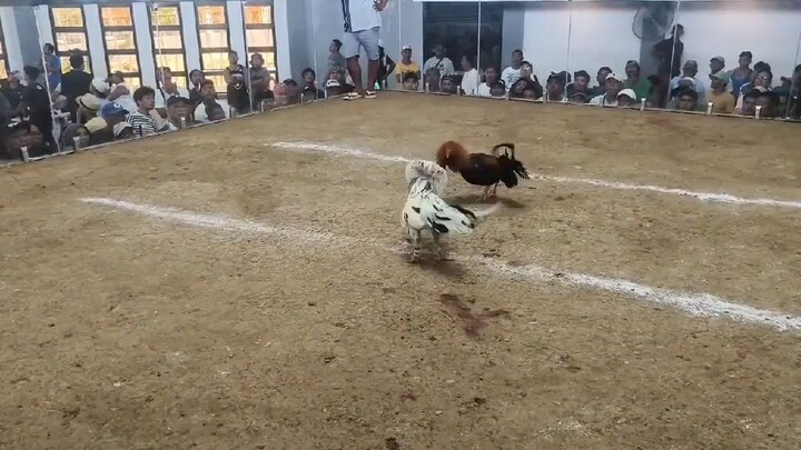 3 hits ulutan..champion