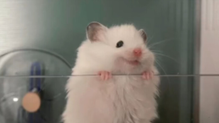 Once you start working: One month later: