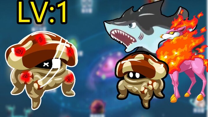 【Petualangan Monster Jamur】Bisakah Monster Jamur Level 1 Mengalahkan Bos-Bos Ini?