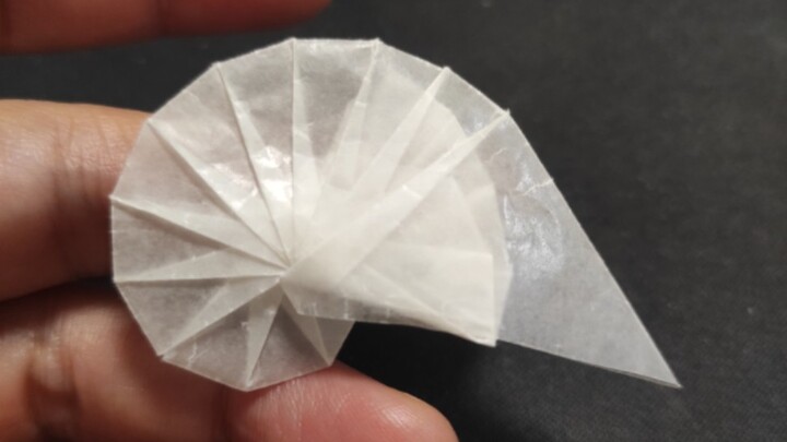 [Origami] The oldest conch in the world, the nautilus, is a living fossil that has traveled through 